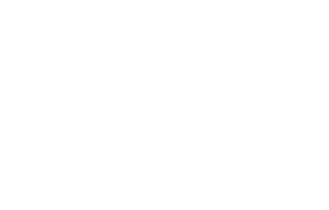 VSE